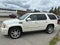 2009 Cadillac Escalade Plat