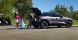 Alcona Motors in LINCOLN MI