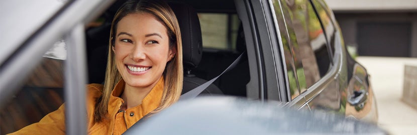 Alcona Motors in LINCOLN MI